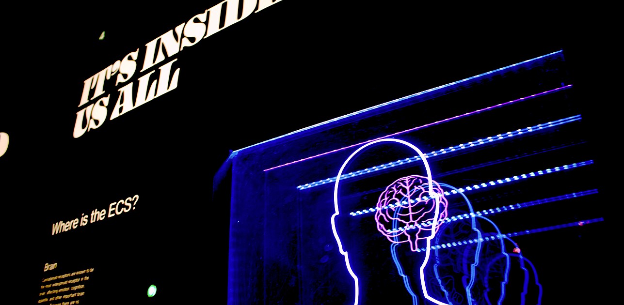 Screen with outline of person