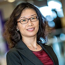 Prof. Ting Li