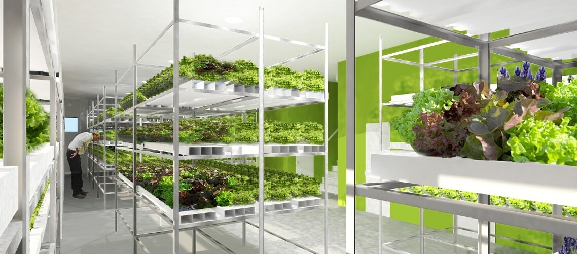 Alumnus John Apesos gets 1.5 million euro investment for vertical farms