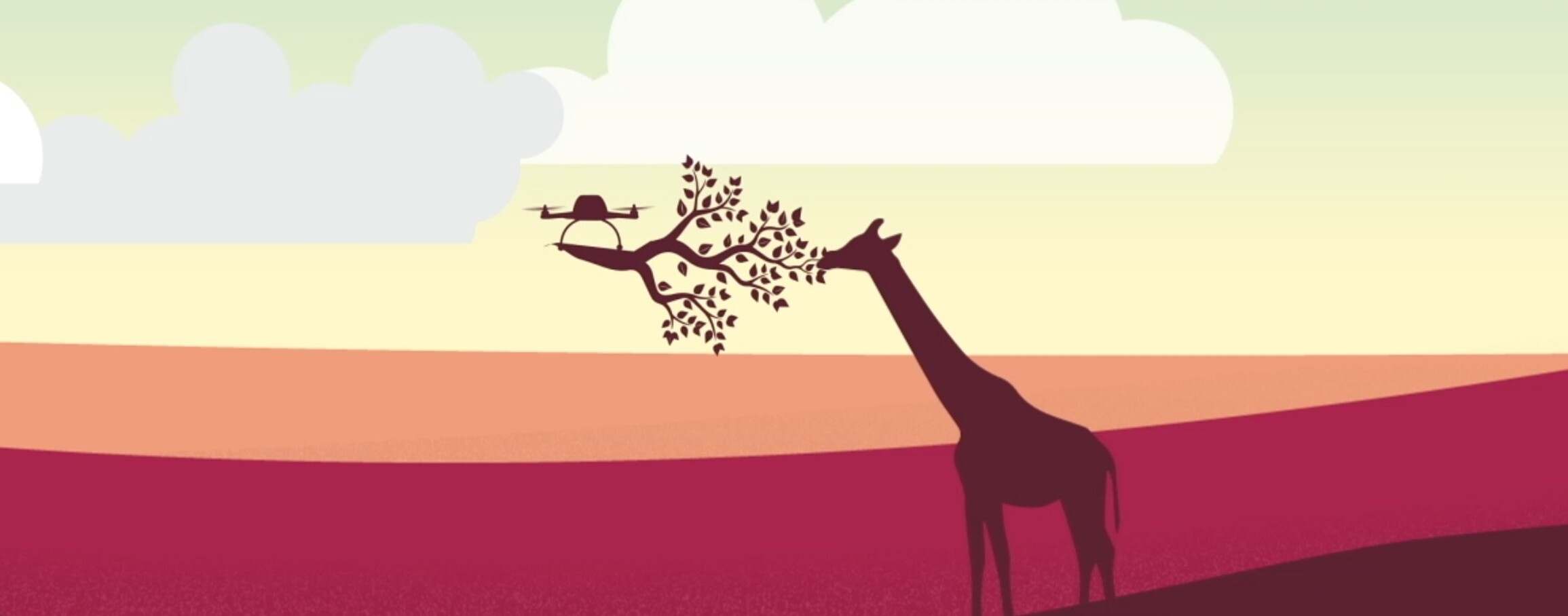 Giraffe reaching up to eat from a branch suspended by a hovering drone.