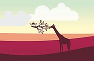 Giraffe reaching up to eat from a branch suspended by a hovering drone.