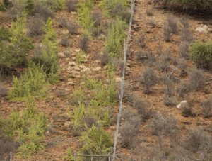 The difference between degraded and non-degraded land Land Erosion