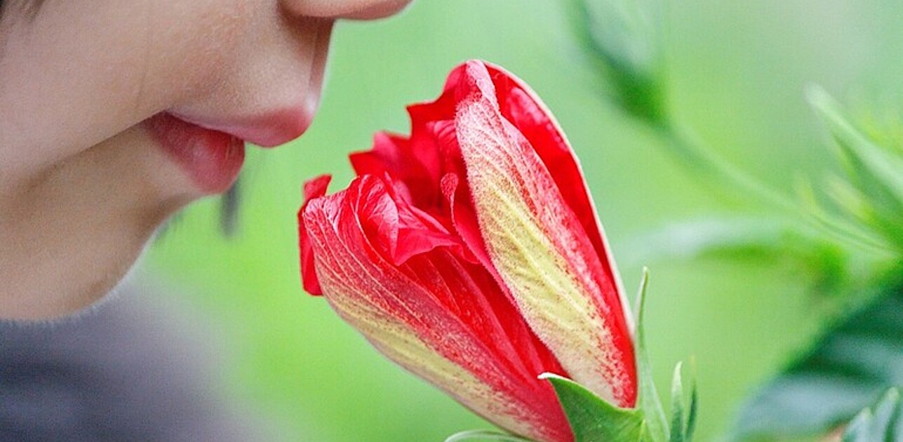 A girl smelling on a flower.