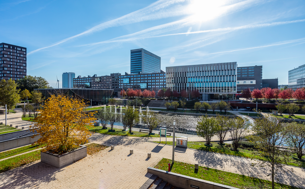 Campus during autumn