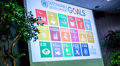 Sustainable Development Goals