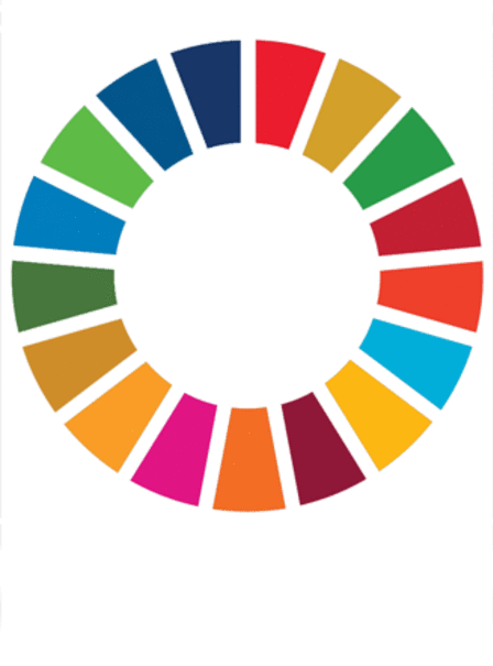 SDG wheel