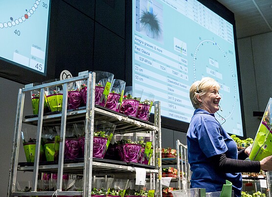 Optimise floriculture and make it more sustainable with AI algorithms