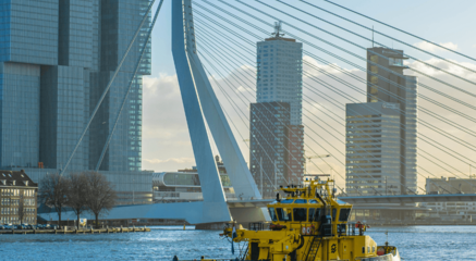Picture of the Erasmus bridge in Rotterdam