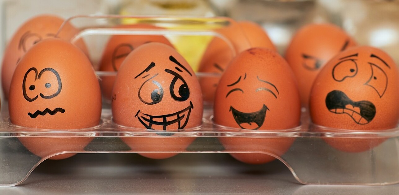 eggs with different faces painted on them