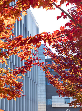 EUR Woudestein campus in autumn