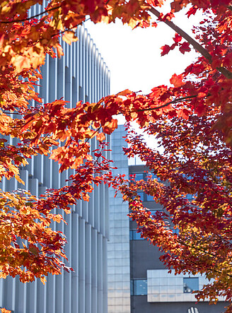 EUR Woudestein campus in autumn