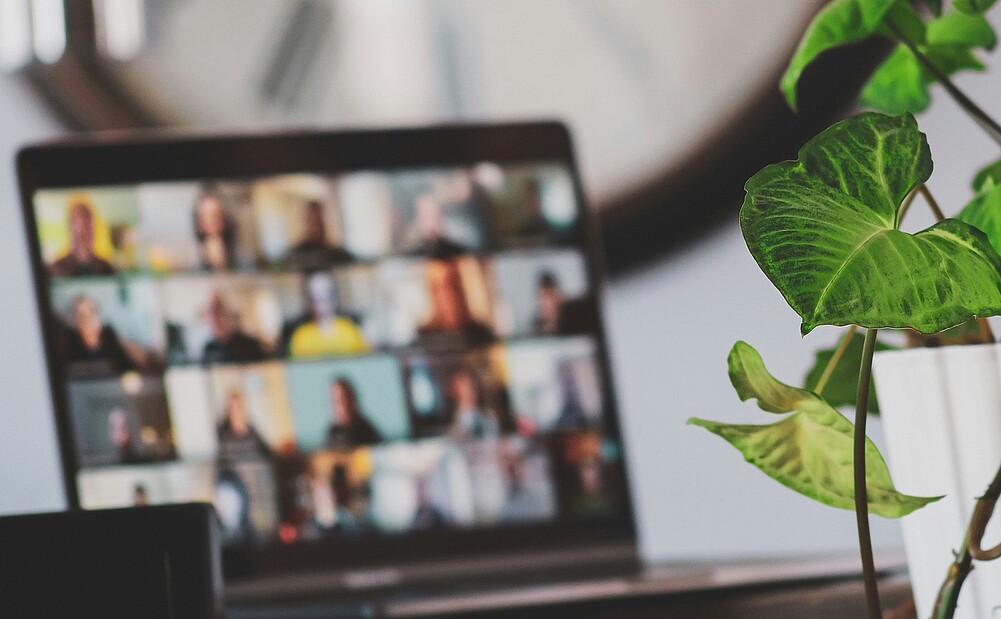 Laptop and plant