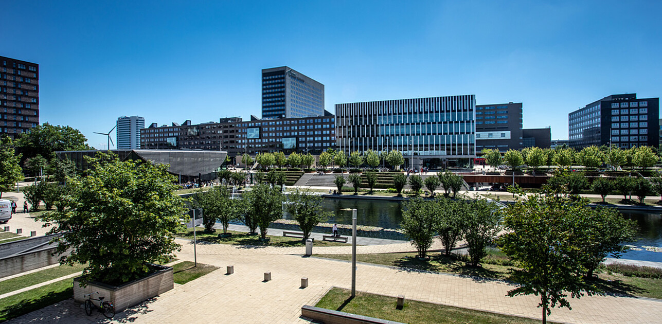 EUR Campus Woudestein in summer time