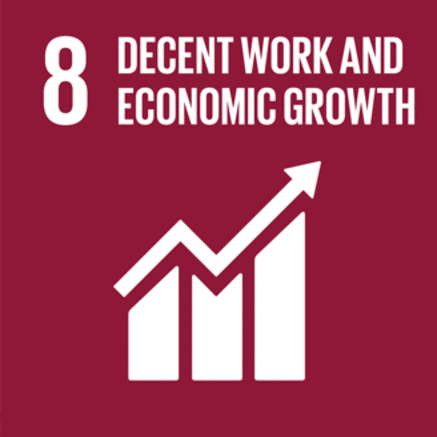 8: Decent Work and Economic Growth