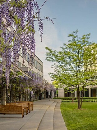 University building