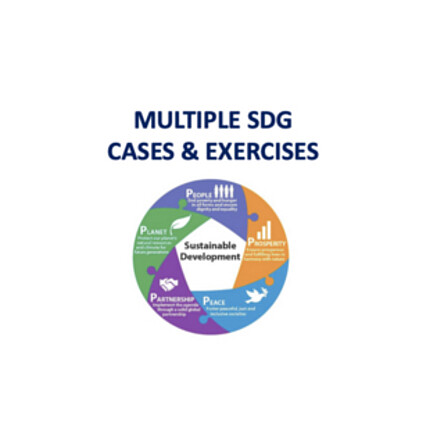 Multiple SDG Cases & Exercises