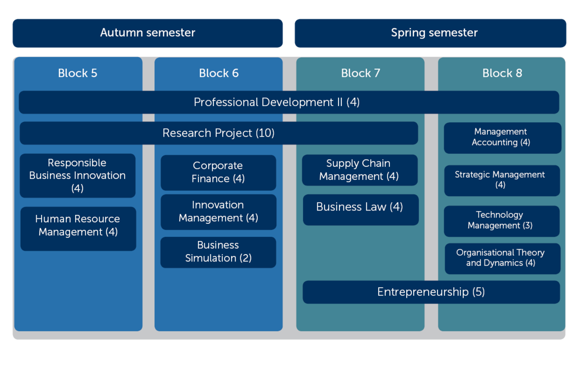 Curriculum in the second year